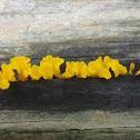 Witches Butter