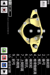 和鍼灸院式骨学R 2D poster 16