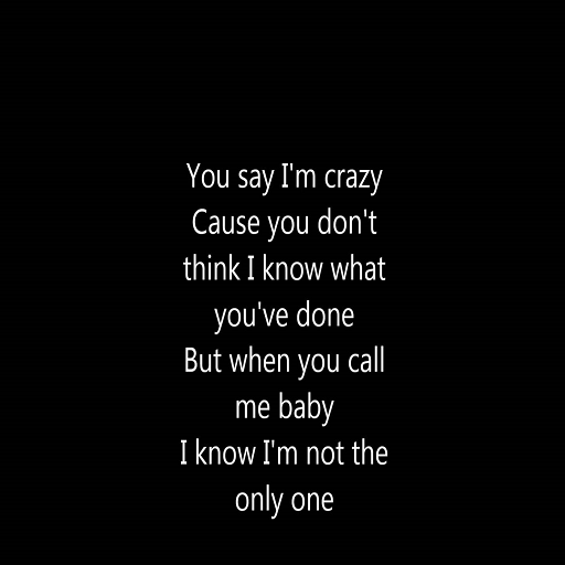 I am not the only one - lyrics