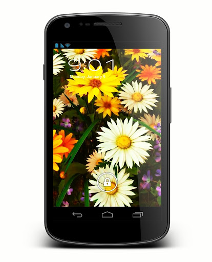 Wildflowers Live Wallpaper