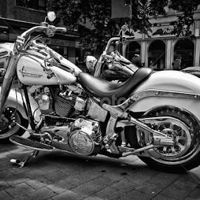 Harley by Jean-Marc Schneider - Transportation Motorcycles