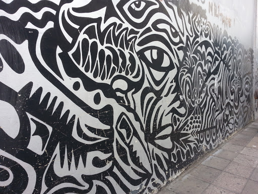 Mural Señora Cebra