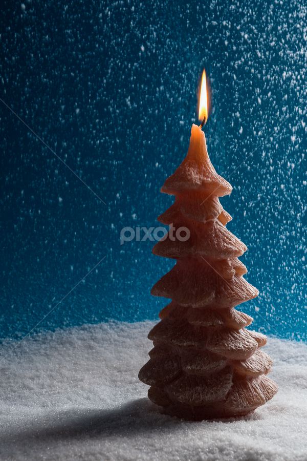 by Steven Put - Public Holidays Christmas