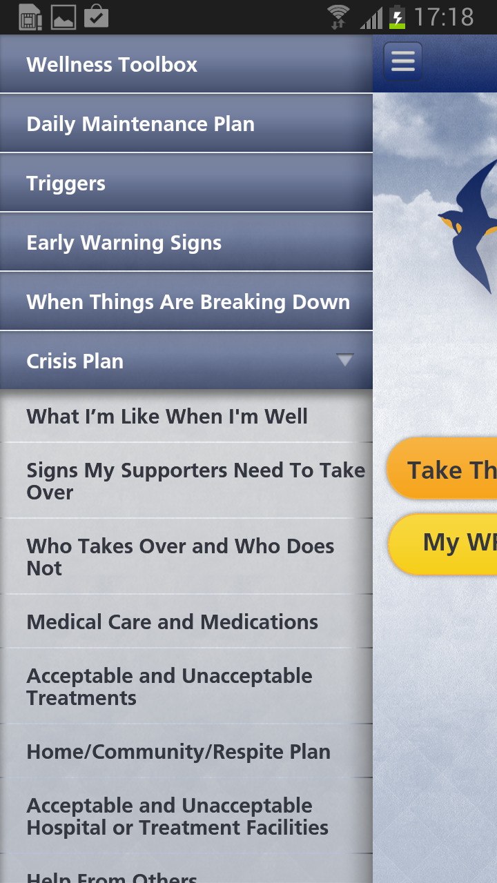 WRAP – Wellness Recovery Plan Screen 2