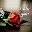 I Miss You Download on Windows