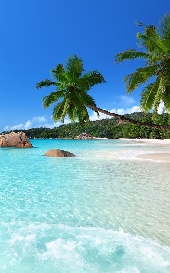 Tropical Beach Live Wallpaper  Android Apps on Google Play