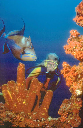 Scuba-diving-Aruba5 - Up close and personal with a spectacular fish off the coast of Aruba. Anyone know what it's called?