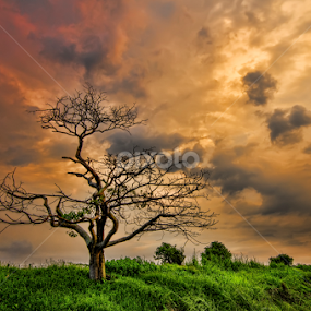 God's Painting by KIN WAH WONG - Landscapes Sunsets & Sunrises