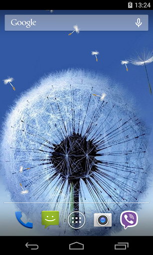 Dandelion Live Wallpaper