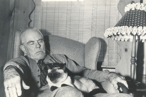 [vintage_cats_11[2].jpg]