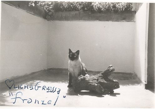 [vintage_cats_18[2].jpg]