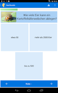 Schlaukopf Spiel Schlaukopf Spiel