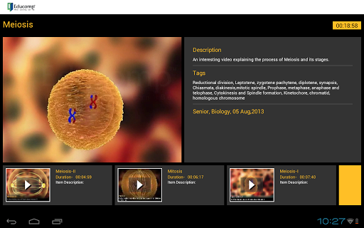 Meiosis