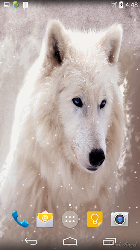 Arctic Wolf Live Wallpaper