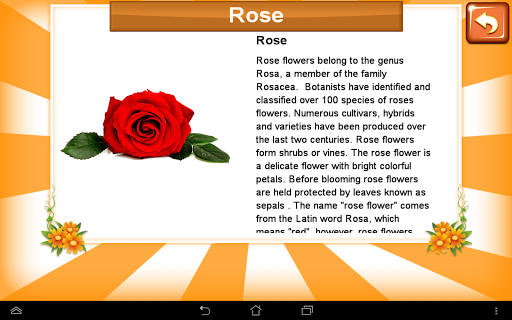 【免費教育App】Learn By Fun Flowers-APP點子