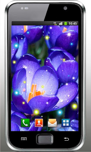 Crocuses HQ Live Wallpaper