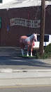 Sam's Downtown Feed and Pet Horse