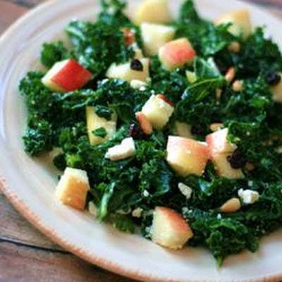 atkins diet plan beginners