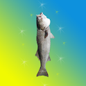 Huge Fish Prank Photo