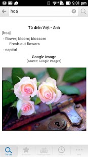 download Tra câu free