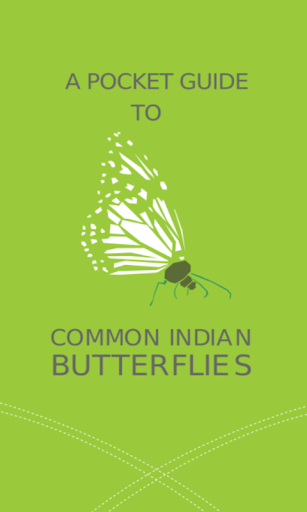 Common Indian Butterflies