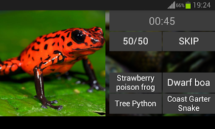 Guess the reptile poster 6