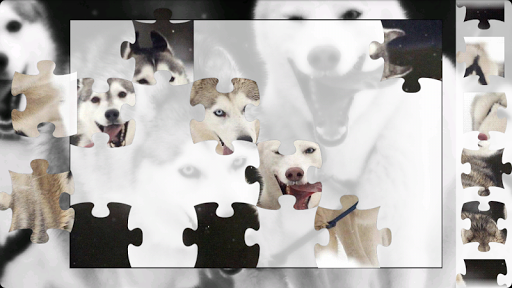 Husky Puzzle