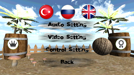 Engelli Yol poster 7