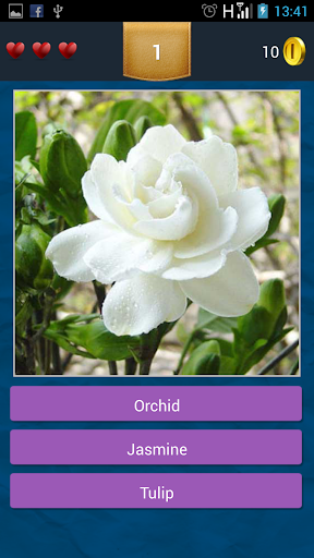 【免費教育App】Pics Quiz - Flowers-APP點子