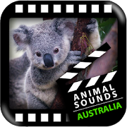 Best Australian Animals Sounds  Icon