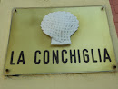 La Conchiglia