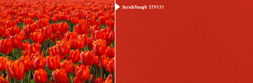 image of Scrub Tough - ST9131
