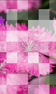 Photile Live Wallpaper(圖5)-速報App