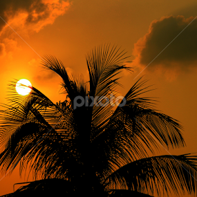 Good Evening by Evan Ahmed - Nature Up Close Other Natural Objects