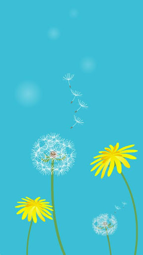 Dandelion