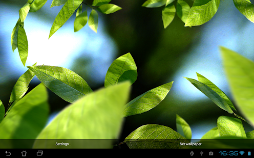 Fresh Leaves - screenshot thumbnail