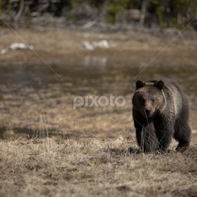 by Kris Kessinger - Uncategorized All Uncategorized
