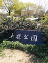 上桂公園