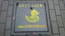 Lost Duck!