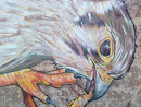 Grafiti Bird