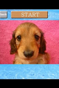 How to install puzzle(Dog) 1.0.3.2 unlimited apk for bluestacks