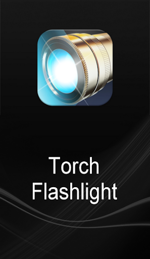 Torch Flashlight