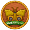 Moth Week 2014