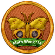Moth Week 2014