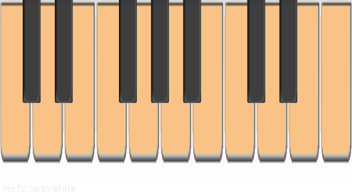 Piano xylophone keyboardists