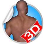 Cover Image of Télécharger Back 3D Fitness Workout Sets 1.0 APK