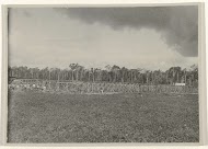 Werkzaamheden in de omgeving van Moengo