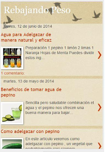 【免費健康App】Dietas sanas y naturales-APP點子