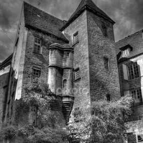 by Fraise Des Bois - City,  Street & Park Historic Districts