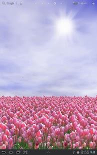 How to install Tulip Field Free lastet apk for android